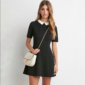 Peter Pan collar mini dress